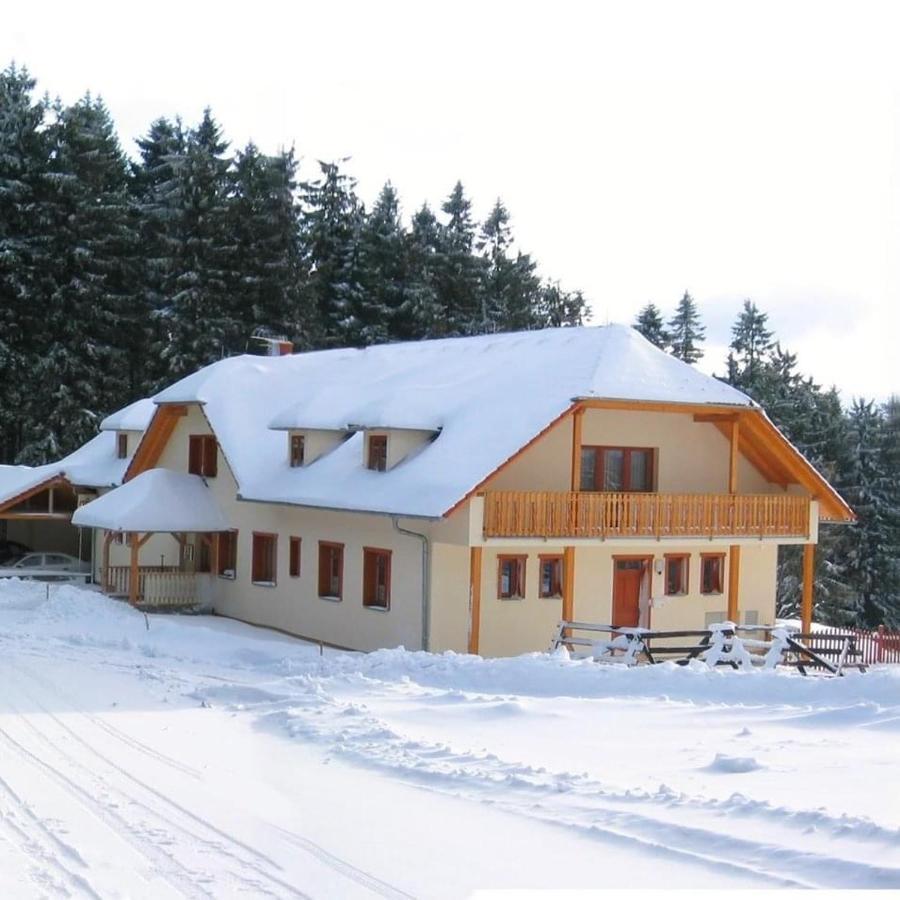 Penzion Patrik Vapenice Esterno foto